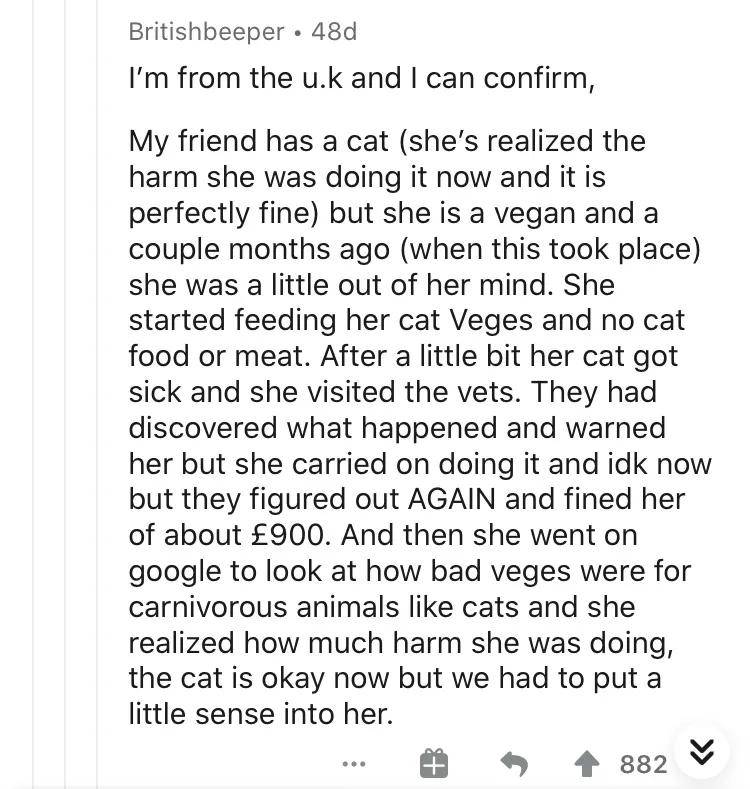 疯了！素食主义女朋友逼我扔掉我的猫，竟是因为它吃肉
