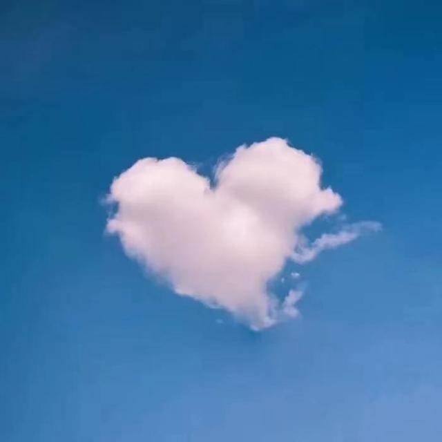 能量|剽悍一只猫的剽悍财富行动营—22天后我终于有勇气开始乘风破浪！