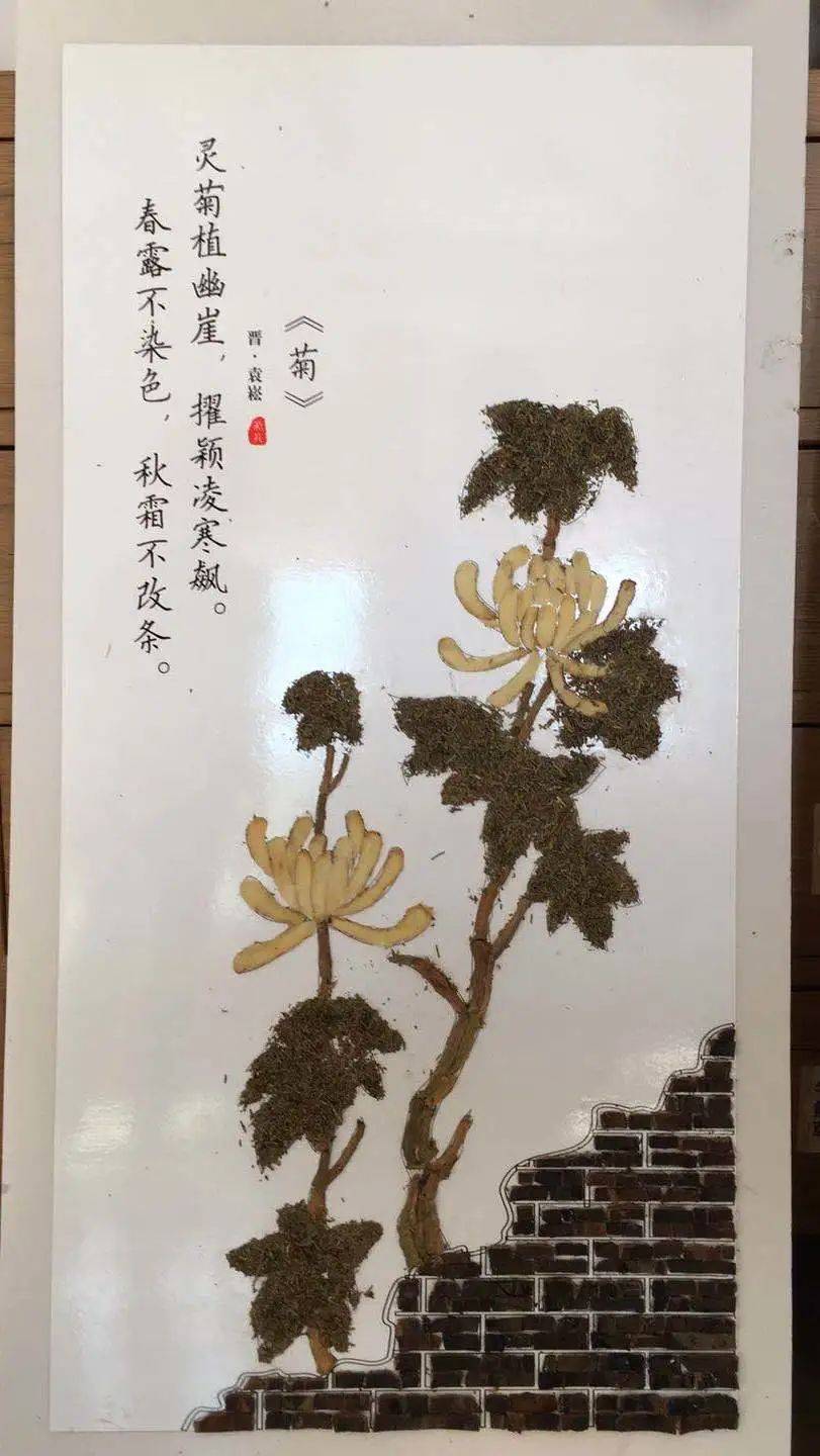 药材粘贴画: 选择不同形状和不同颜色的中药材,用剪刀将它们剪成需要