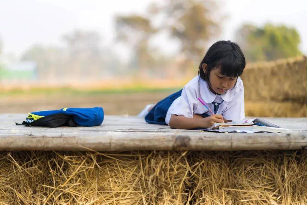 郸城|崛起的高考经济河南的“衡水中学”