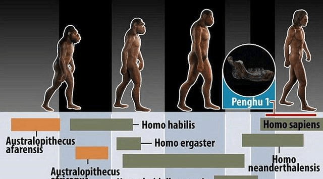 人口减少人类灭绝_人类灭绝后的地球照片