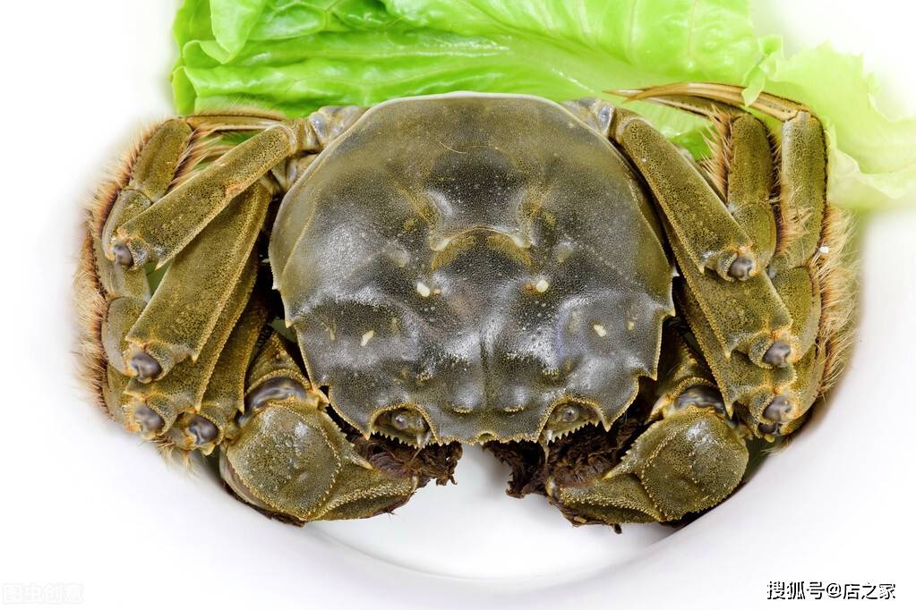 店之家-饭店用死螃蟹掉包活螃蟹,死螃蟹为什么不能吃?