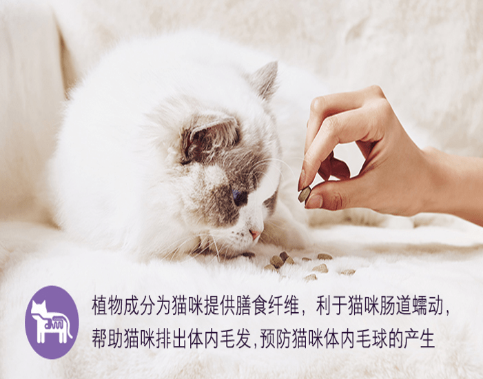 24f1c57217af41c19cef879020c37186.png