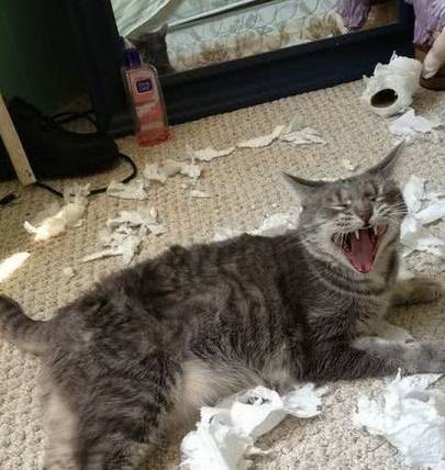 猜成语人没有下半身_女生下半身头像(3)