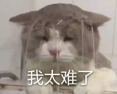 5bcd6cb413b64d2aa4c0750086572120.jpeg
