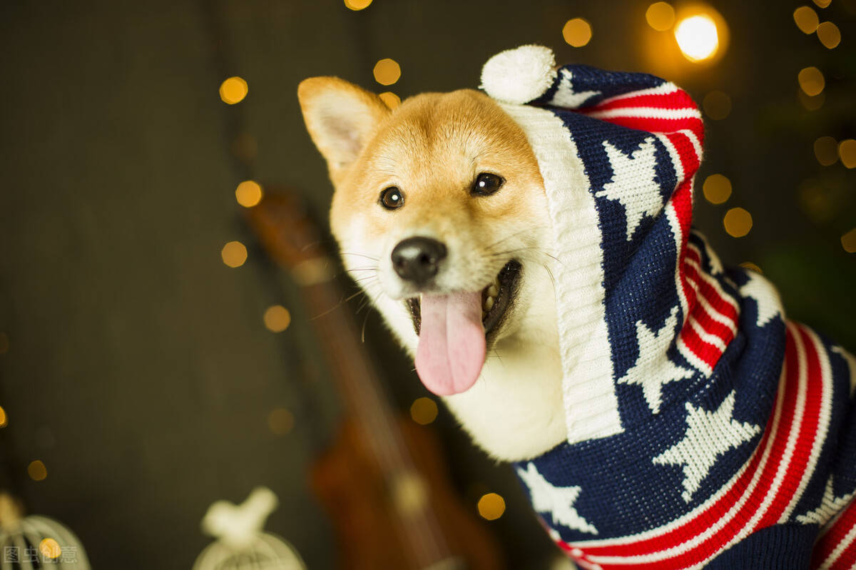 7c2ae7b51d0a40958c96bc2526301b36.jpeg