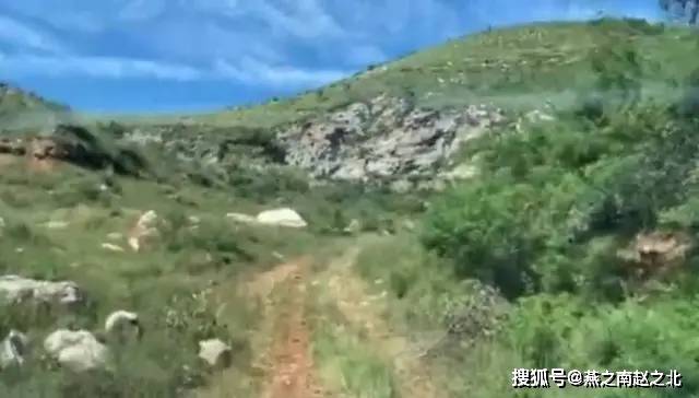 荣西人口