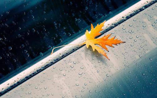 我最忧愁是秋天下雨,雨加重了秋的冷,更增添了人们的愁.