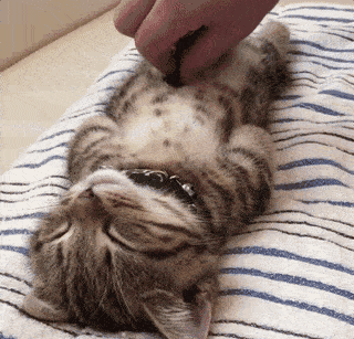 9891780afec349ecab4ed1d2c05f43e4.gif