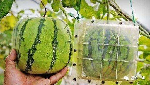 内衣|虞书欣暴露油腻肚腩没多久，这次竟然公开要求p副乳了，身材管理就这么难吗？