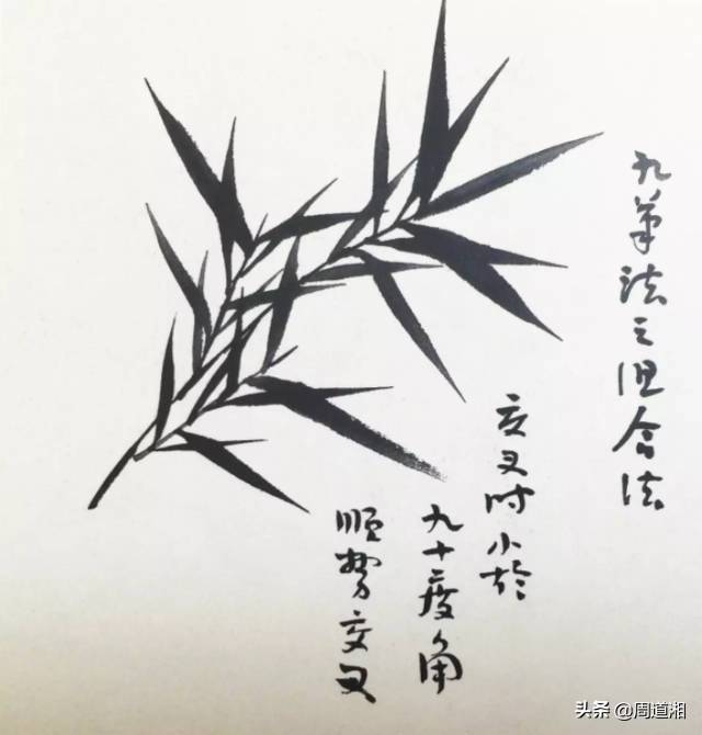 36ed171bac4240c69f5ab68f644aca4b.jpeg
