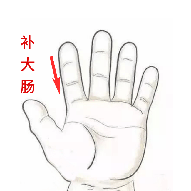 曦源|不精神，还不爱吃饭？学会这几招，让孩子胃口好起来！—湘曦源孩子脸色枯黄