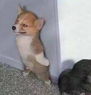 嘘猜成语_看图猜成语(3)