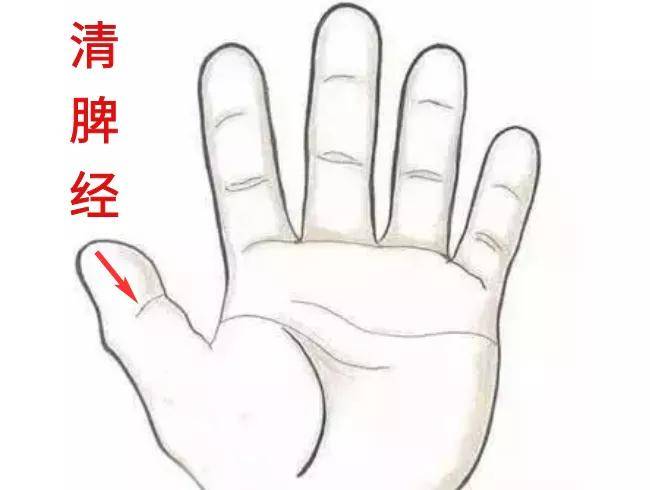 宝宝|过这个年龄妈妈一定要重视!——湘曦源宝宝流口水