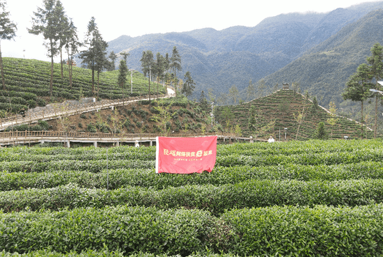 三农|原产地探访推荐好物 凝聚爱心网络扶贫陕耀镇巴
