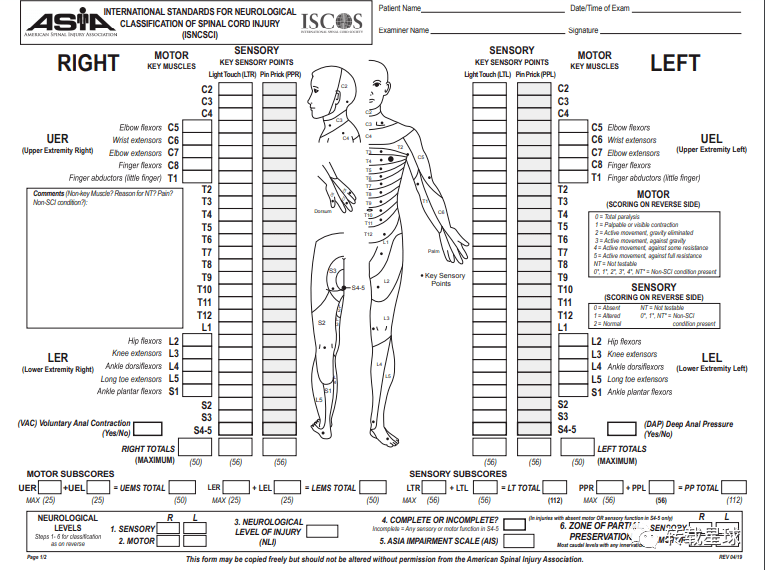 2019修订版发布,由asia发布并由asia国际标准委员会和国际脊髓学会(is