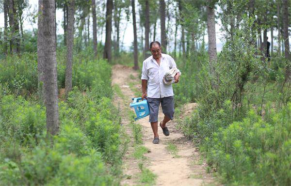 柳玉春|五战高考的河南七旬老人，今年考上啦！将就读法律专业