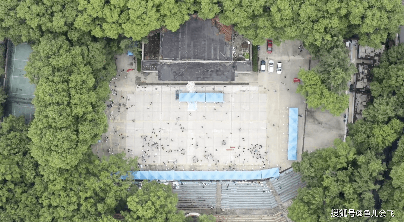 小学霸|武汉大学最小新生仅13岁,来自高考第一大省河南比北大最小新生还强