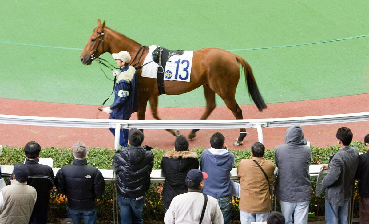 2020/2021年度马季首次跑马地赛事将于周三(9月9日)举行,当晚共编排