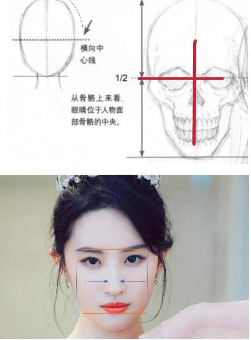 8分|3分到8分，为什么有人是天生适合整容脸?