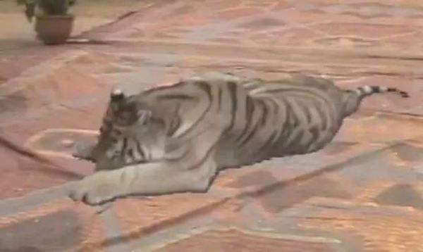 唐僧|什么事沙僧居然跪下去求孙悟空？他连卷帘大将的尊严也不要了？