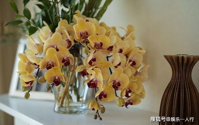 张艺谋的豪宅,窗户窗帘拉得严严实实,像是与世隔绝