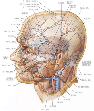 6cfc71b8f1fd4fd9b4cf17cc1199200c.png