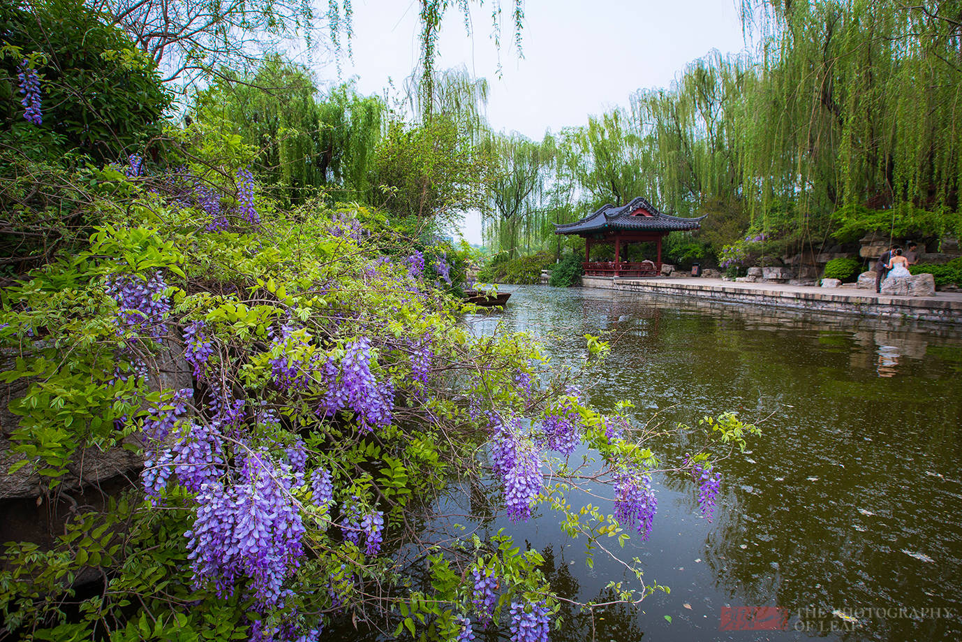 夏雨荷|乾隆心心念念的大明湖，不但没夏雨荷，46个大明湖才抵一个西湖