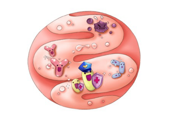 宝宝|过敏体质宝宝需要补充益生菌吗？详解一下