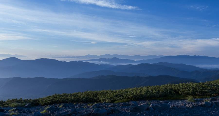 商业模式不变乡镇经销商没前路：家电企业必须加快寻找新活法-家电圈官网