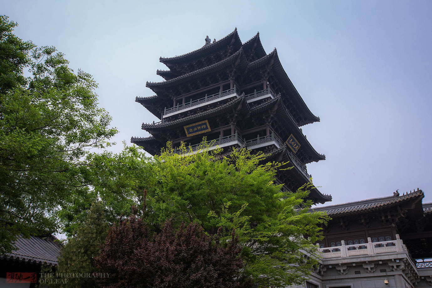 夏雨荷|乾隆心心念念的大明湖，不但没夏雨荷，46个大明湖才抵一个西湖