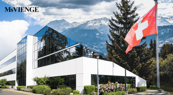 皮肤|MsVINEGE美施维安姿 —— 天然护肤 挚爱之选