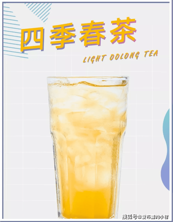 四季春茶