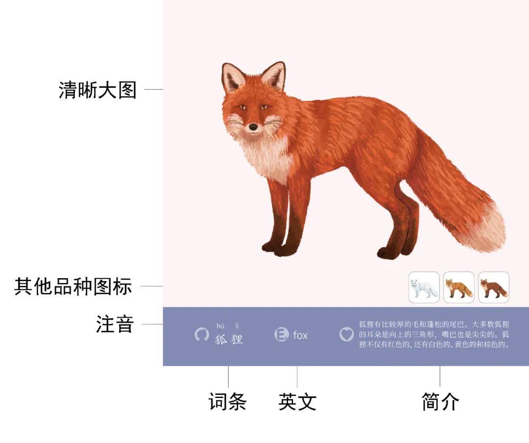 绘本|0~4岁绘本怎么挑？这套书给满分