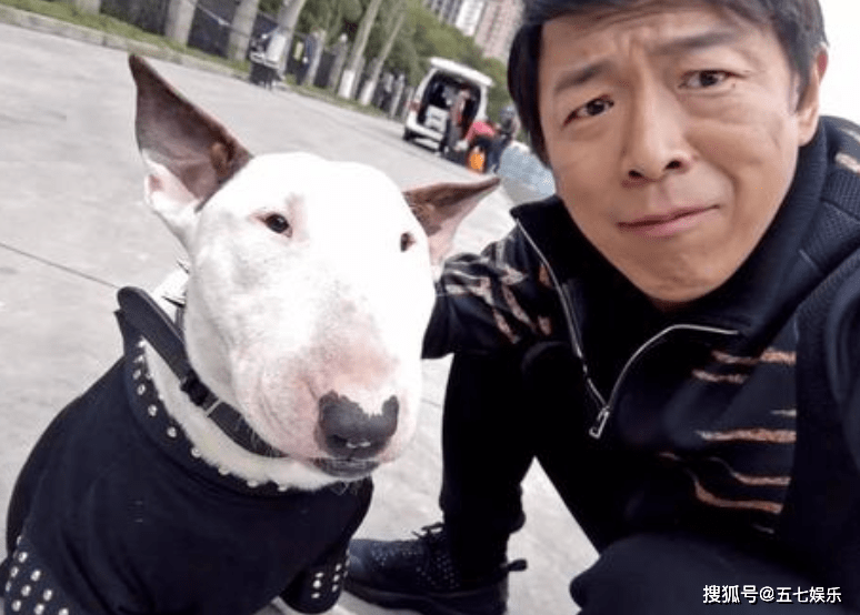 像动物已经不是什么新鲜事了,比如黄渤长得像柴犬,孙红雷长得像牛头梗