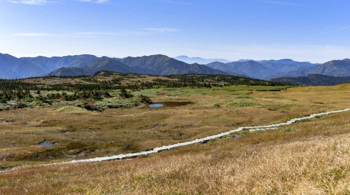 家电线上渠道占比那么高，线下实体店促销活动还要搞吗?-家电圈官网