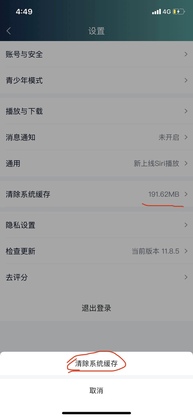 SIRI人口(2)