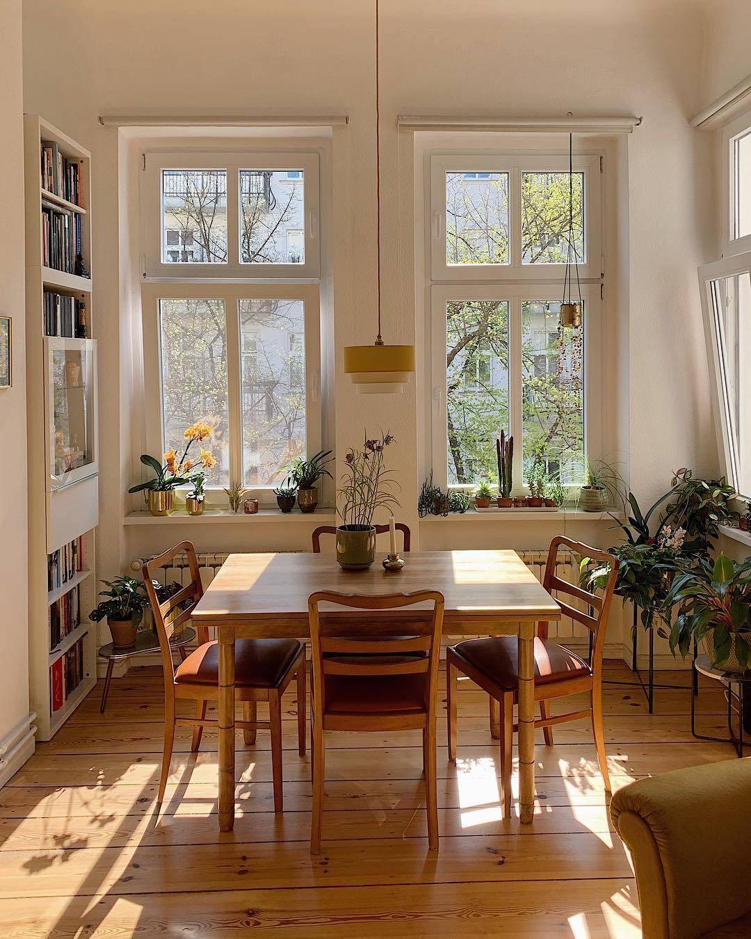 光线|老房子怎么改造？鲜艳软装配上阳光绿植，光线充足比新房还想住