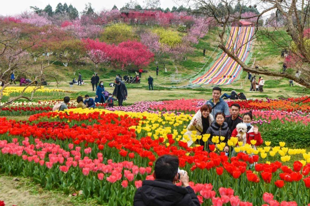 生态文化景区" "成都最美观花基地" △秀丽东方幸福场-2020年实拍