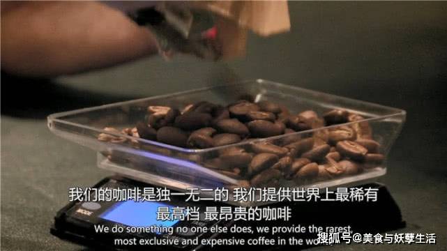 有没有推荐的咖啡豆 61776e0213cb4d3288776dac12f696ca.jpeg