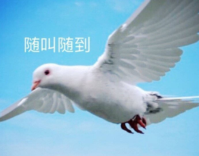 心满意足的表情包图片,舒服吧