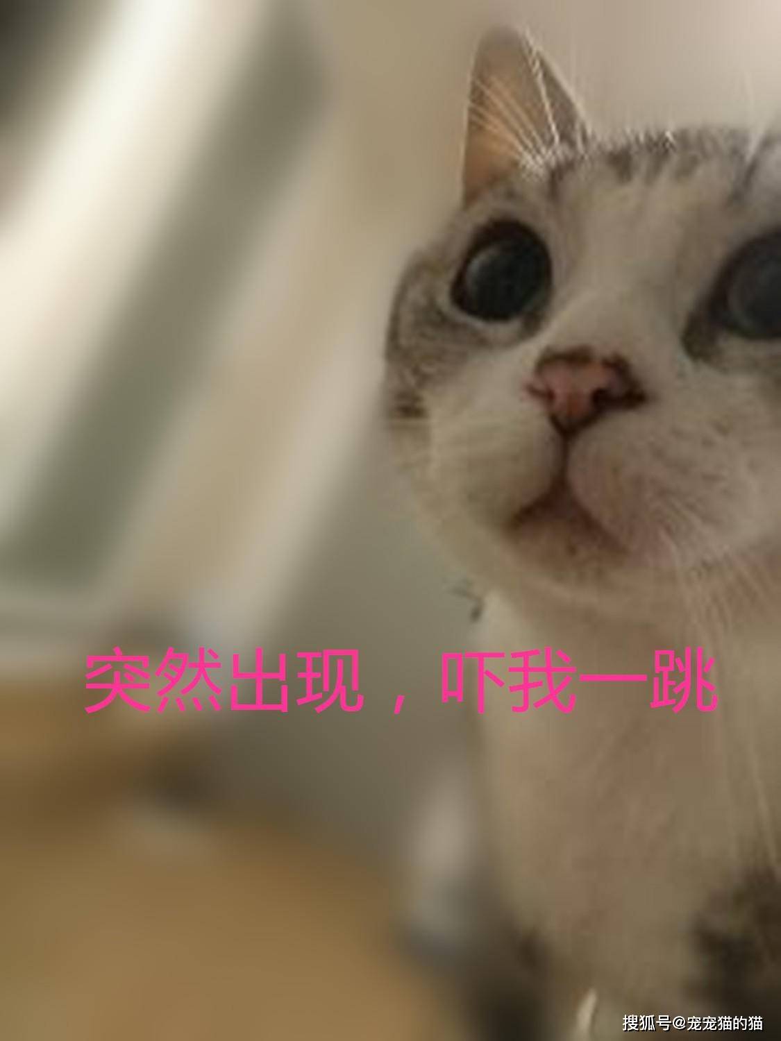 23f7eb8066984347a60323a194bf870a.jpeg