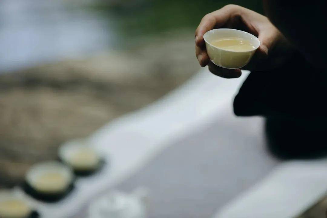 茶叶|喝着却不香的白茶，能算好茶吗？闻着香