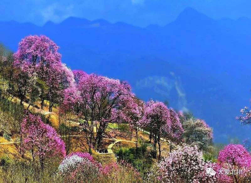 北川(|在世界行走 为北川停留