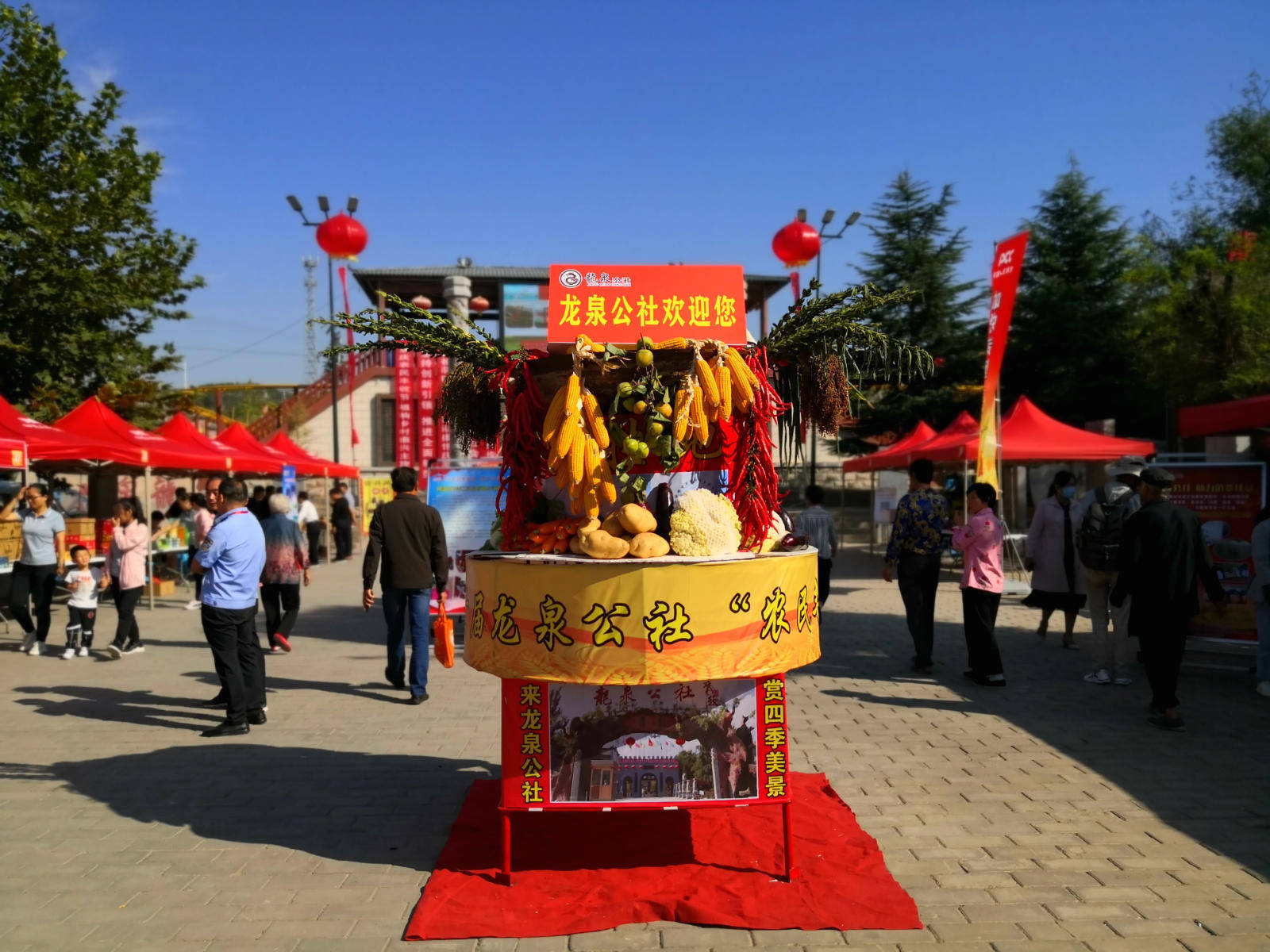 中国农民丰收节|“我的丰收我的节”2020中国农民丰收节泾阳奏响喜庆华章