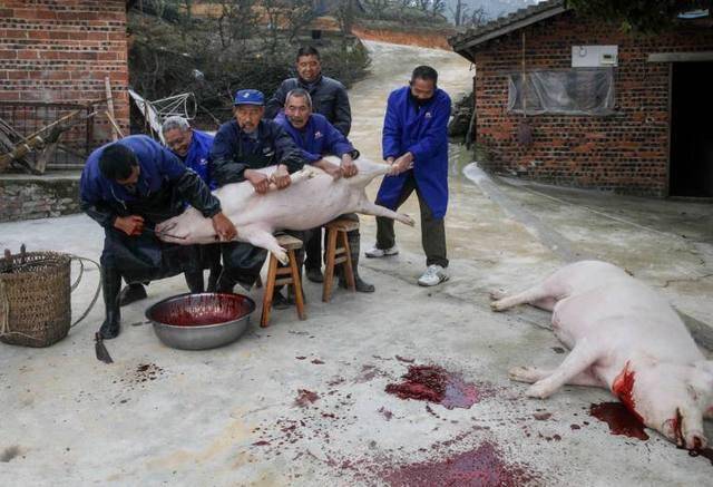 杀猪师傅用刀尖指着案板上的猪肉说:"去年上半年猪肉才卖十六七块钱