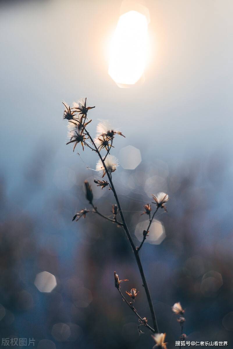 2325c1e79d8e47a590fd503a5780af52.jpeg