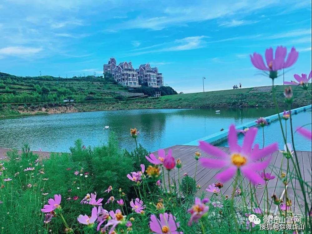 活动|一起海啤！岱山首届海语美食音乐节即将开场~