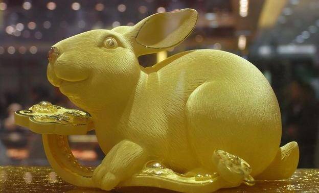 兔子的智商有没有猪高 53b6518efb8c4ee1a1d6446f0cc634f6.jpeg