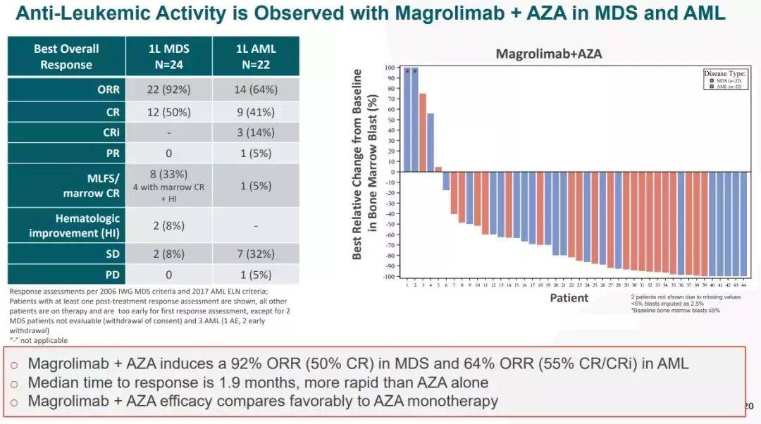 该研究评估了magrolimab与阿扎胞苷联用,在既往未治的中,高危和极高危
